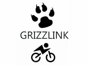 Grizzlink